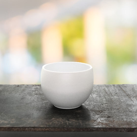 INDOOR-OUTDOOR TEACUPS - SET OF 6